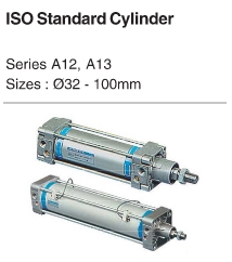 ISO Standard Cylinder
