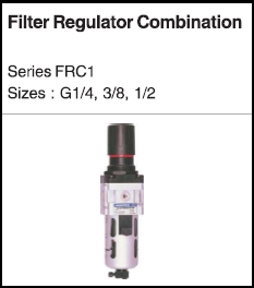 Filter regulator combination